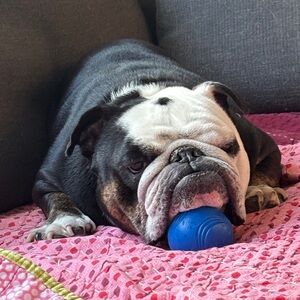 Meet your Posher, Debra